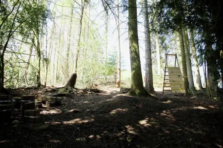 Renardmont, Grand château accueillant animaux de compagnie - Photo 39