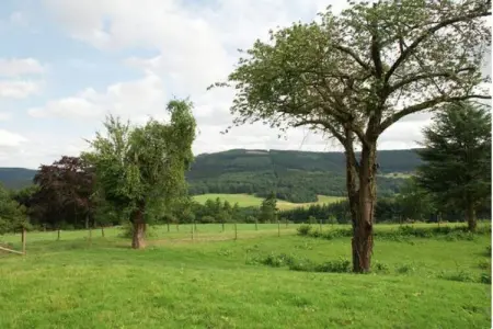 Gite de Froidcour, Maison à Stoumont près du Spa Resort - Photo 18