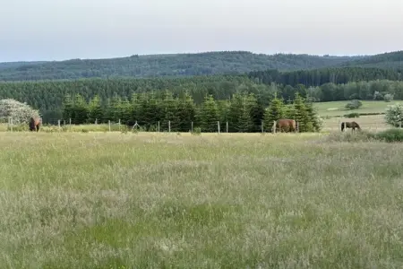 Petit Wilogne, Appartement Green Hillside - Petit Wilogne - Photo 39