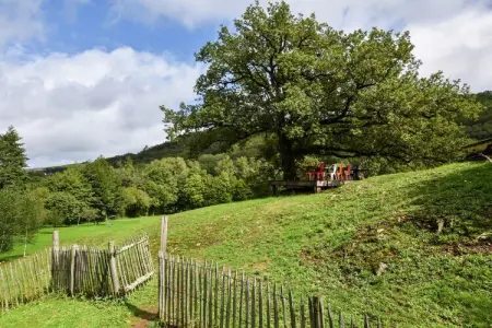 La Remise, Ferme dans les Pyrénées avec piscine - Photo 27