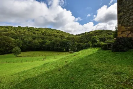 La Remise, Ferme dans les Pyrénées avec piscine - Photo 33