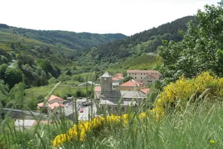 Maison de vacance - Cros-de-Géorand, Charmante longère avec piscine à Cros-de-Géorand - Photo 27