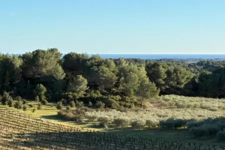 Mas des Trabesses, Villa à Campagnan avec piscine et vignobles - Photo 39