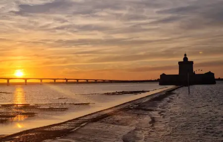 Location Maison 6 personnes à Meschers sur Gironde - Photo 24