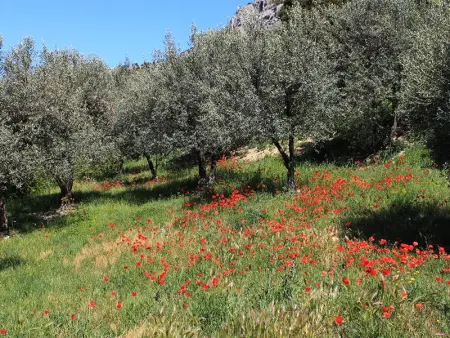 Charmante maison de vacances à La Roche-sur-le-Buis avec piscine - Photo 5