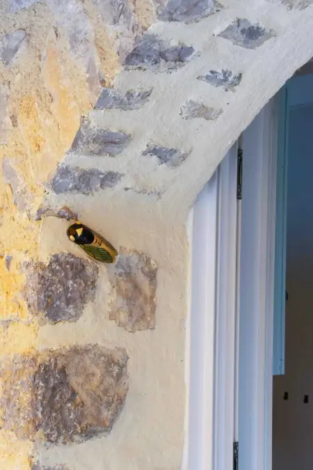 Charmante maison de vacances à La Roche-sur-le-Buis avec piscine - Photo 49
