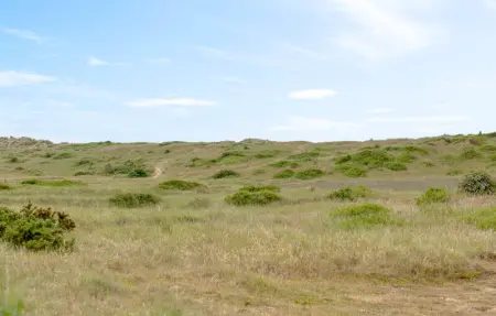 Maison proche mer, Maison 4 personnes à Créances - Photo 25