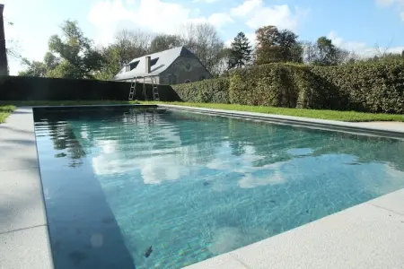 Le Vieux Tilleul du Château, Maison familiale Forestview - Photo 15