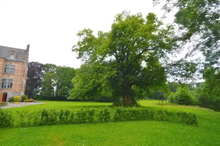 Le Vieux Tilleul du Château, Maison familiale Forestview - Photo 21