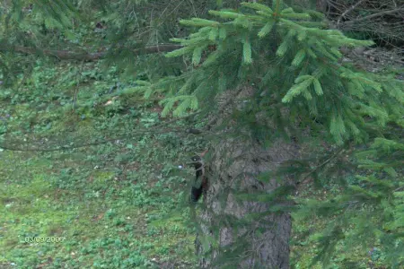House Bruno, Maison à Vrbovsko près du sentier Kamačnik - Photo 22