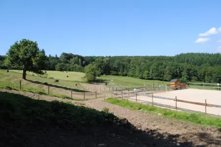 Haute Levée, Maison à Stavelot près des thermes - Photo 8