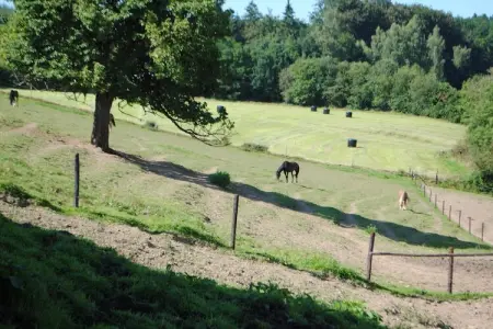Haute Levée, Maison à Stavelot près des thermes - Photo 31