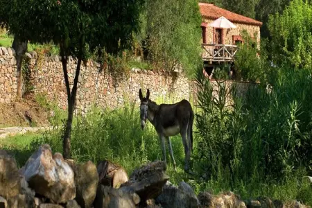 Zoya, La Zoya, retraite tranquille au bord de la rivière - Photo 10