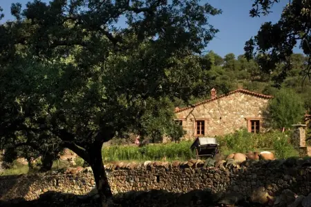 The Eagle, El Águila, Stone Cottage - Photo 20