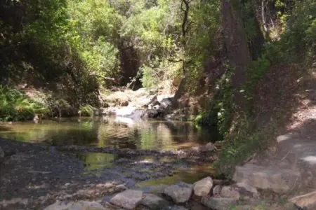 The Eagle, El Águila, Stone Cottage - Photo 35
