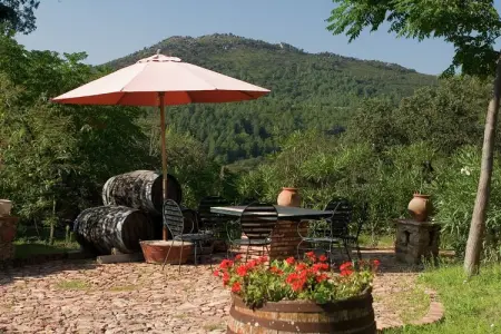 The Turtle, La Tortuga, maison en pierre à Alájar - Photo 22