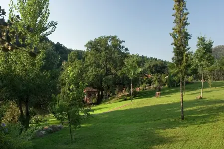 The Owl, El Búho, chalet à Alájar - Photo 17