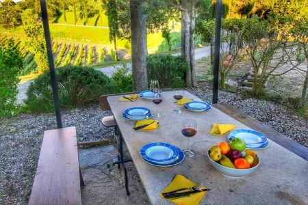 Villa Ulivo, Ferme à flanc de colline du Chianti - Photo 30