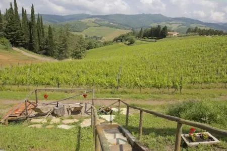 Limone, Jolie ferme avec terrasse - Photo 31