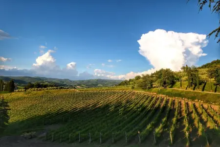 Limone, Jolie ferme avec terrasse - Photo 38
