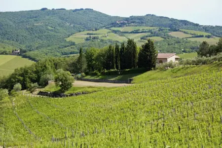 Limone, Jolie ferme avec terrasse - Photo 39