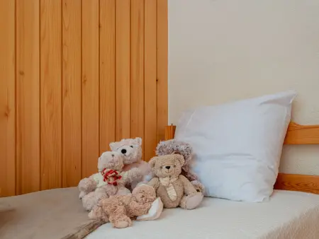 Quille du Diable 44, Appartement 4 personnes à Nendaz - Photo 21