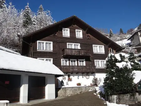 Steinacher 7, Appartement 4 personnes à Engelberg - Photo 2