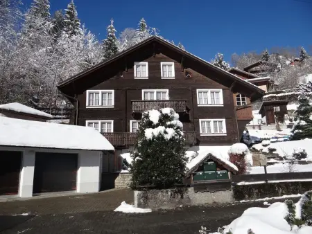 Steinacher 7, Appartement 4 personnes à Engelberg - Photo 3