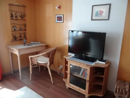 Steinacher 7, Appartement 4 personnes à Engelberg - Photo 8