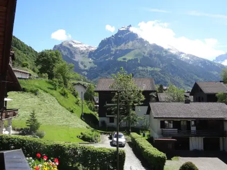 Steinacher 7, Appartement 4 personnes à Engelberg - Photo 22