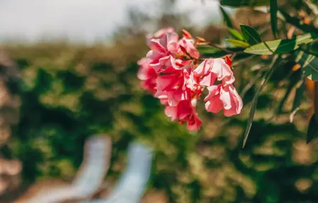 Location Maison 4 personnes à Saint Germain - Photo 7