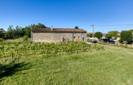 Holiday home on a vineyard, Maison 5 personnes à Savigné - Photo 8