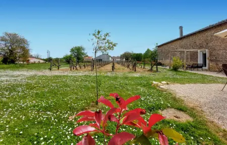 Holiday home on a vineyard, Maison 5 personnes à Savigné - Photo 13