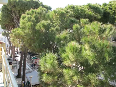 Bellavista, Appartement 3 personnes à Cattolica - Photo 14