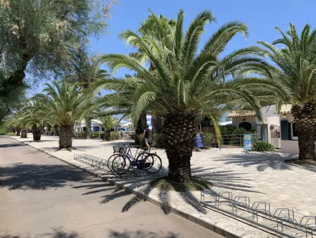 Mediterraneo, Appartement 4 personnes à San Benedetto del Tronto - Photo 18