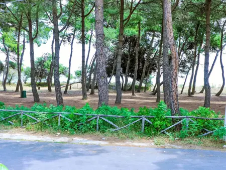 Cerrano, Appartement 4 personnes à Silvi Marina - Photo 20