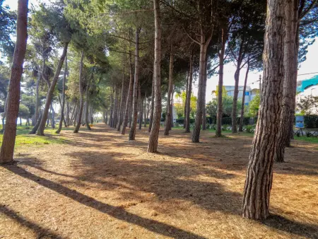 Cerrano, Appartement 4 personnes à Silvi Marina - Photo 21