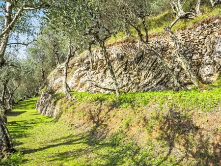 La Capannella, Gite 5 personnes à Camaiore - Photo 29