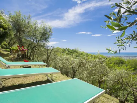 Casaccia, Gite 5 personnes à Camaiore - Photo 1