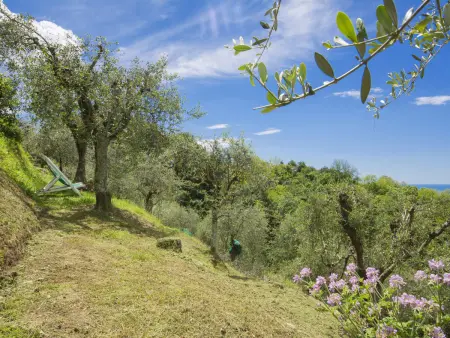 Casaccia, Gite 5 personnes à Camaiore - Photo 24