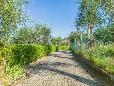 Villa le Casette, Villa 11 personnes à Massarosa - Photo 13