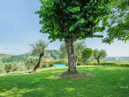 Villa le Casette, Villa 11 personnes à Massarosa - Photo 49