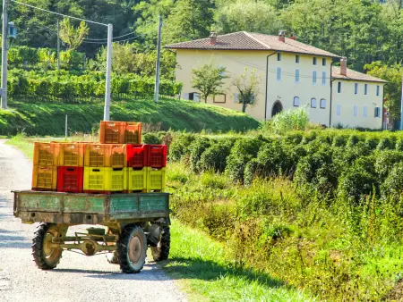Aurora, Gite 10 personnes à Montecatini Terme - Photo 29