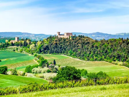 Le Buche, Gite 8 personnes à Castellina in Chianti - Photo 44