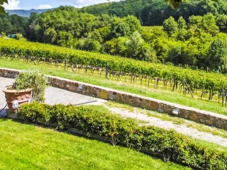 Locazione turistica Selvapiana, Gite 6 personnes à Greve in Chianti - Photo 26