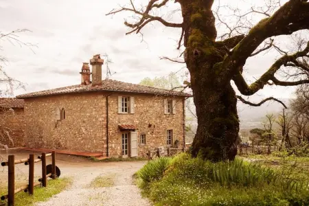 Agriturismo Tenuta Seriole, Villa 12 personnes à Poppi - Photo 7