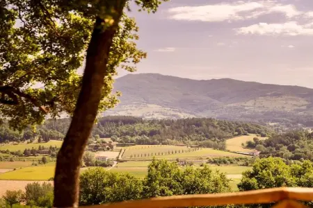 Agriturismo Tenuta Seriole, Villa 12 personnes à Poppi - Photo 39