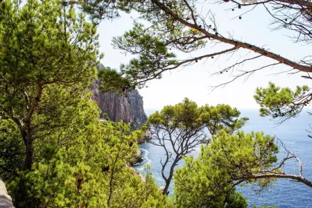 Wundeschönes & Nachhaltiges Casa Cap Vermell, Magnifique Villa à Capdepera Majorque avec jacuzzi - Photo 33