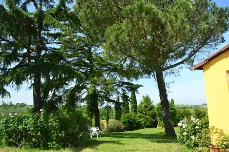 Da Vinci sette, Ferme à Vinci avec piscine et vignobles - Photo 16