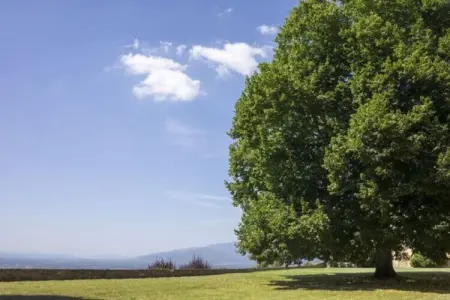 il Giardino, Maison à Pergine Valdarno avec Piscine - Photo 5